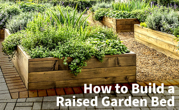 How to Build a Raised Garden Bed How to Build a Raised Garden Bed