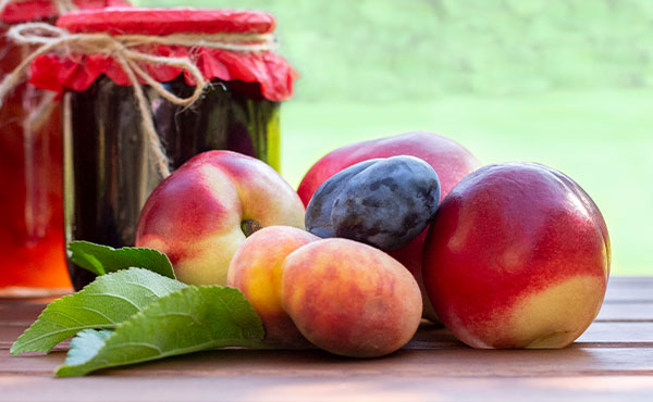 Beginner's Guide to Fruit Canning