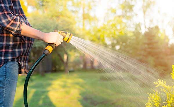 How to Save Water in Your Lawn & Garden How to Save Water in Your Lawn & Garden