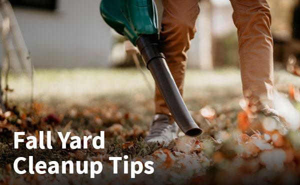 Fall Yard Cleanup Tips Fall Yard Cleanup Tips