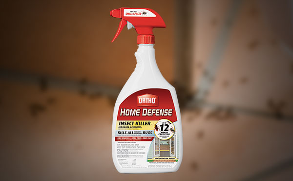 Ortho Home Defense Insect Killer Ortho Home Defense Insect Killer