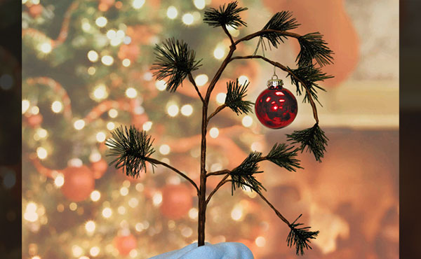 Charlie Brown Christmas Tree Charlie Brown Christmas Tree