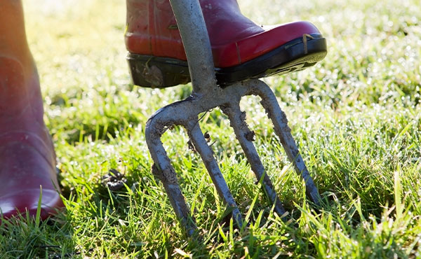 How to Aerate Your Lawn How to Aerate Your Lawn