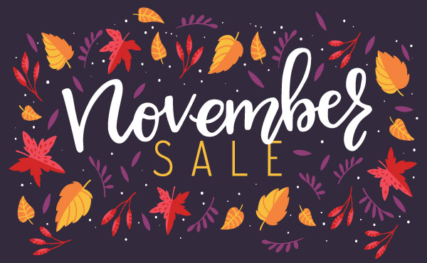 November Promotion Window - 2020 November Promotion Window - 2020