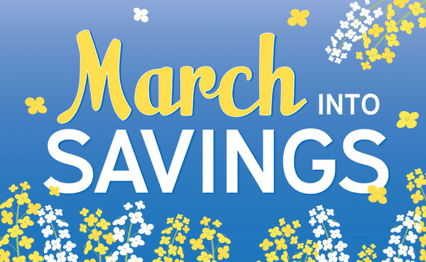 March Promotion Window - 2023 March Promotion Window - 2023