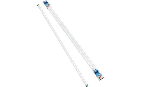 Philips 32W 48 In. Daylight/Cool White T8 Medium Bi-Pin Fluorescent Tube Light Bulb (2-Pack)
