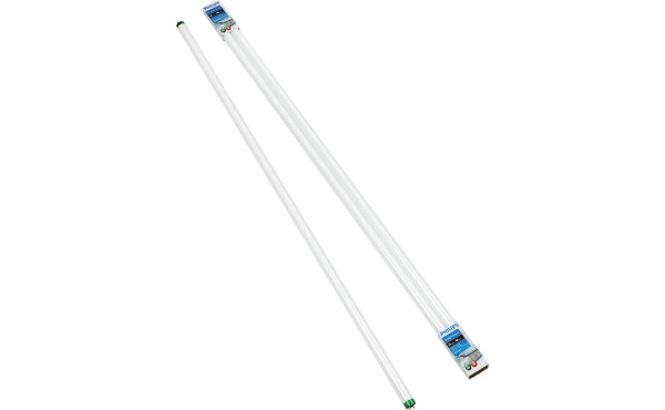 Philips 32W 48 In. Daylight/Cool White T8 Medium Bi-Pin Fluorescent Tube Light Bulb (2-Pack) Philips 32W 48 In. Daylight/Cool White T8 Medium Bi-Pin Fluorescent Tube Light Bulb (2-Pack)
