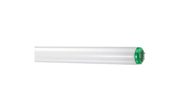 Philips ALTO 40W 48 In. Bright White T12 Medium Bi-Pin Fluorescent Tube Light Bulb (2-Pack) Philips ALTO 40W 48 In. Bright White T12 Medium Bi-Pin Fluorescent Tube Light Bulb (2-Pack)