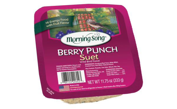 Morning Song Suet Morning Song Suet
