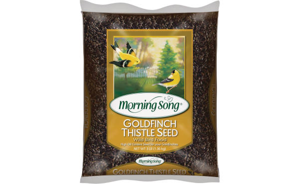 Morning Song 3 Lb. Nyjer Seed Wild Goldfinch Food Morning Song 3 Lb. Nyjer Seed Wild Goldfinch Food