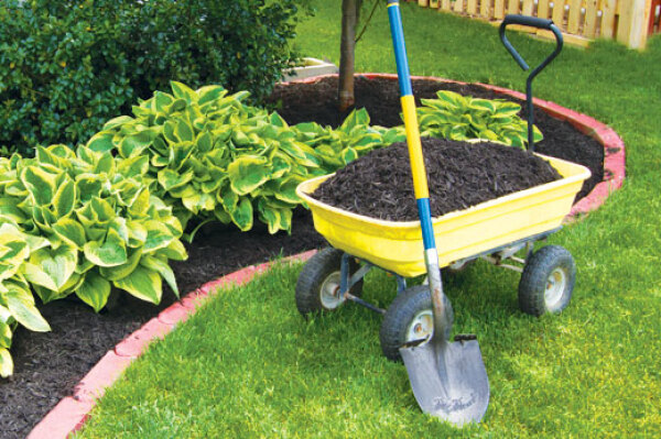 Designing, Installing, and Replacing Mulch - Do it Best - World's Largest Hardware Store