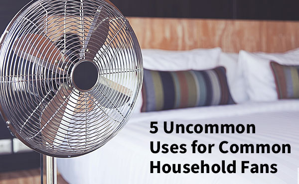 5 Uncommon Uses for Common Household Fans 5 Uncommon Uses for Common Household Fans