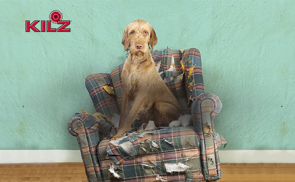 Kilz Primer Benefits Kilz Primer Benefits
