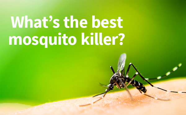 What's the best mosquito killer? What's the best mosquito killer?