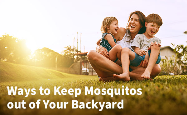 How to Keep Mosquitos out of Your Backyard How to Keep Mosquitos out of Your Backyard