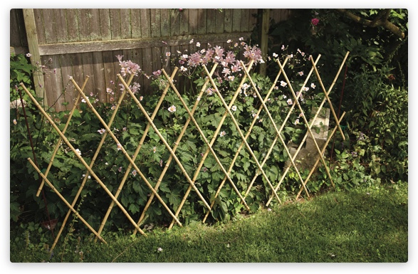 Best Garden Has You Covered Garden
