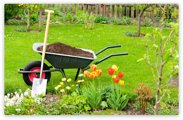 A Tool for Every Project wheelbarrow in garden