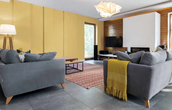Get a beautiful finish at a price that’s equally attractive. Interior pain in living room