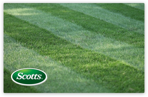 Scotts Company Open field