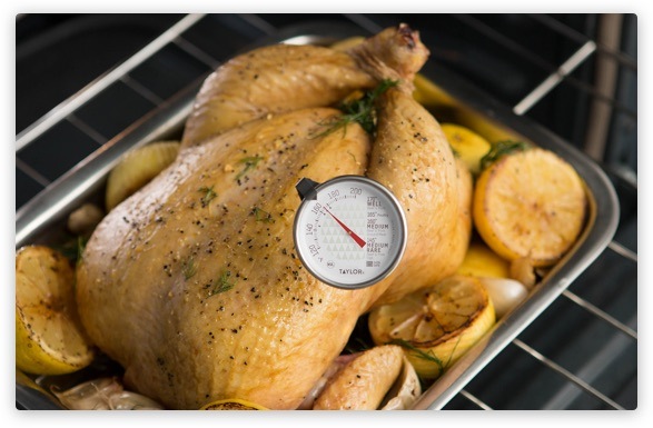 Best Precision Turkey with thermometer